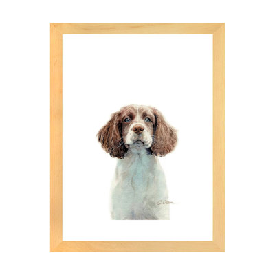 " Springer Spaniel Puppy " by Watercolor Luv