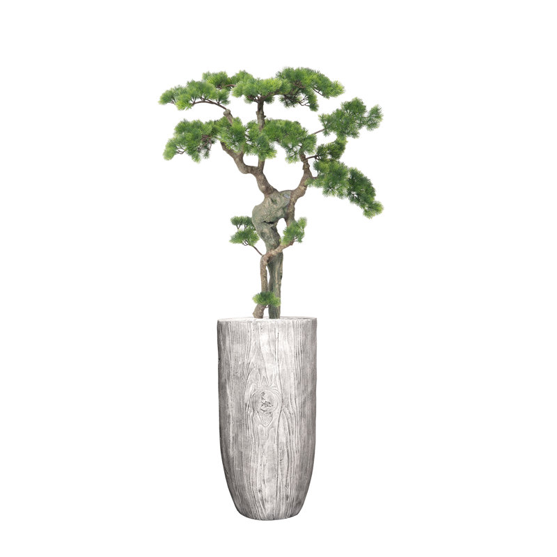 64"H Real-touch beauty Bonsai