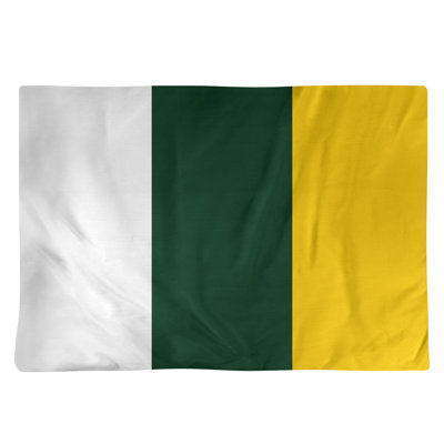 Récapitulatif de 18 po Waco Football