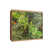 Artisan oak is out of stock selected