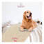 Couverture personnalisée avec nom et pattes-87708888-86380122-85515455