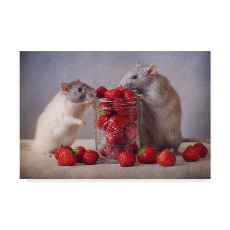 'Rats Strawberries' Photographic Print on Wrapped Canvas, 30" H x 47" W x 2" D