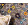 Eddins Washable Oriental Indoor Rug