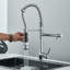 Belfry Kitchen Allurine Pull Down Kitchen Faucet