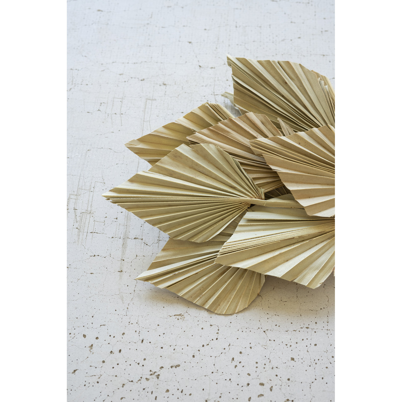20'' Palm Branch