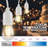 Burroughs Outdoor 15 - Bulb 576'' Plug-in String Light-277533883