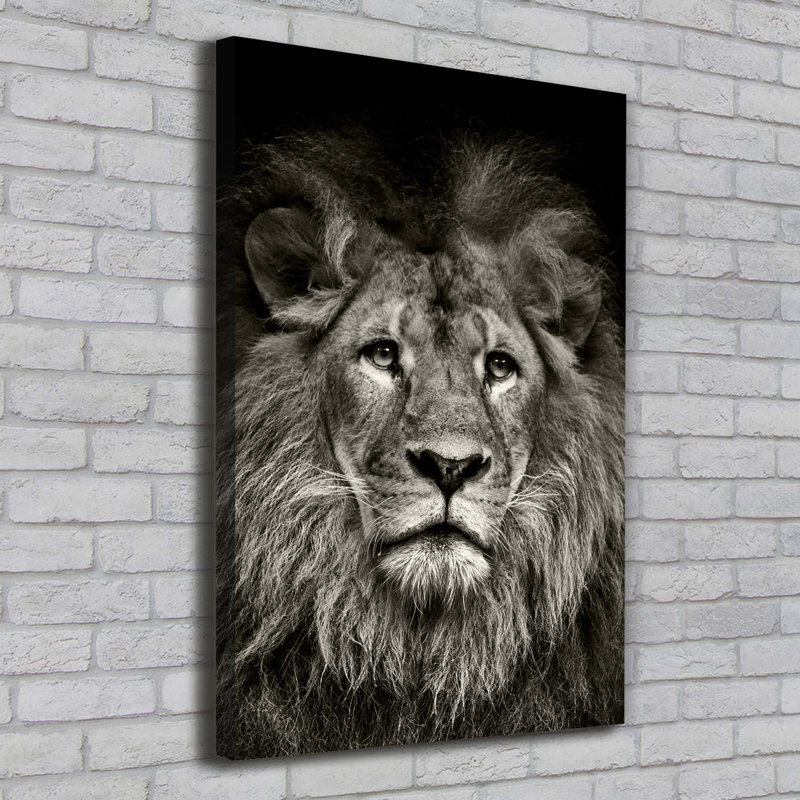 Lion - Wrapped Canvas Print