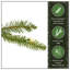Sapin Dunhill WF spécial-972844023