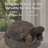 Martinez-Wilson Animals Weather Resistant Plastic Garden Statue