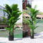 150cm Faux Bonsai Plant in Fabric；Plastic Freestanding