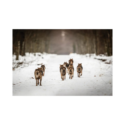 MTU119-Wolves II