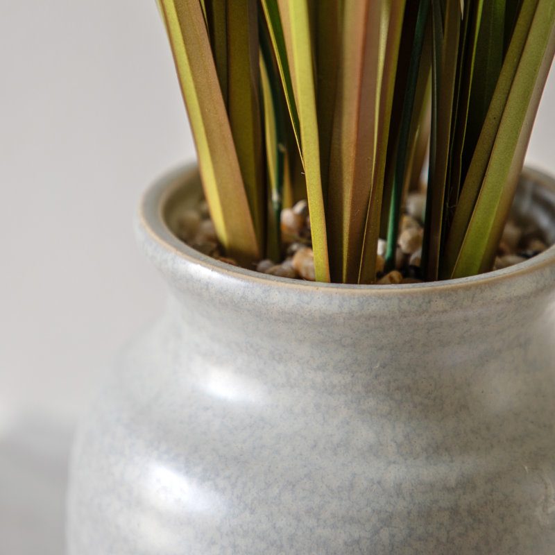 Potted Grass with Feathered Wildflower
