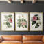 Mélange de fleurs roses I - impression encadrée sur mesure de qualité supérieure mate - 3 pièces-44061801-44061803