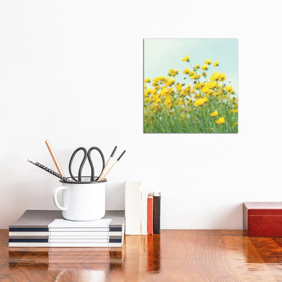 Field Of Yellow Flowers Crop by Mandy Lynne - Wrapped Canvas Gallery-Wrapped Canvas Giclée