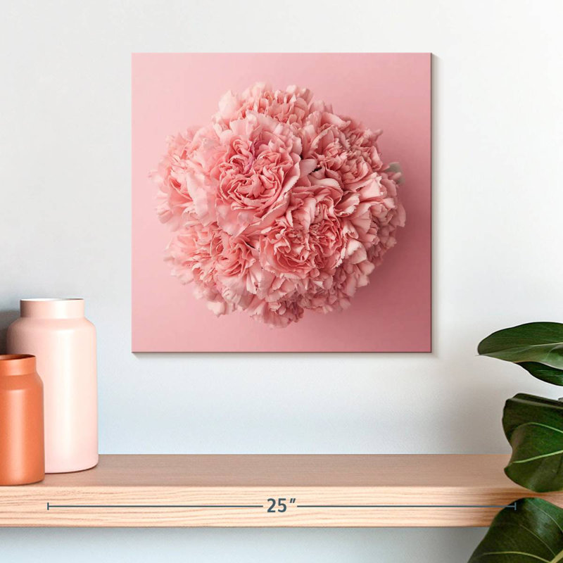 Œillet rose Arney, H 16 po x l 16 po
