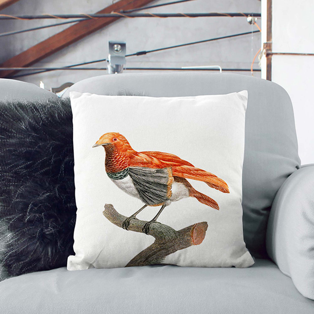 A King Bird of Paradise by Jacques Barraband Cushion with Filling
