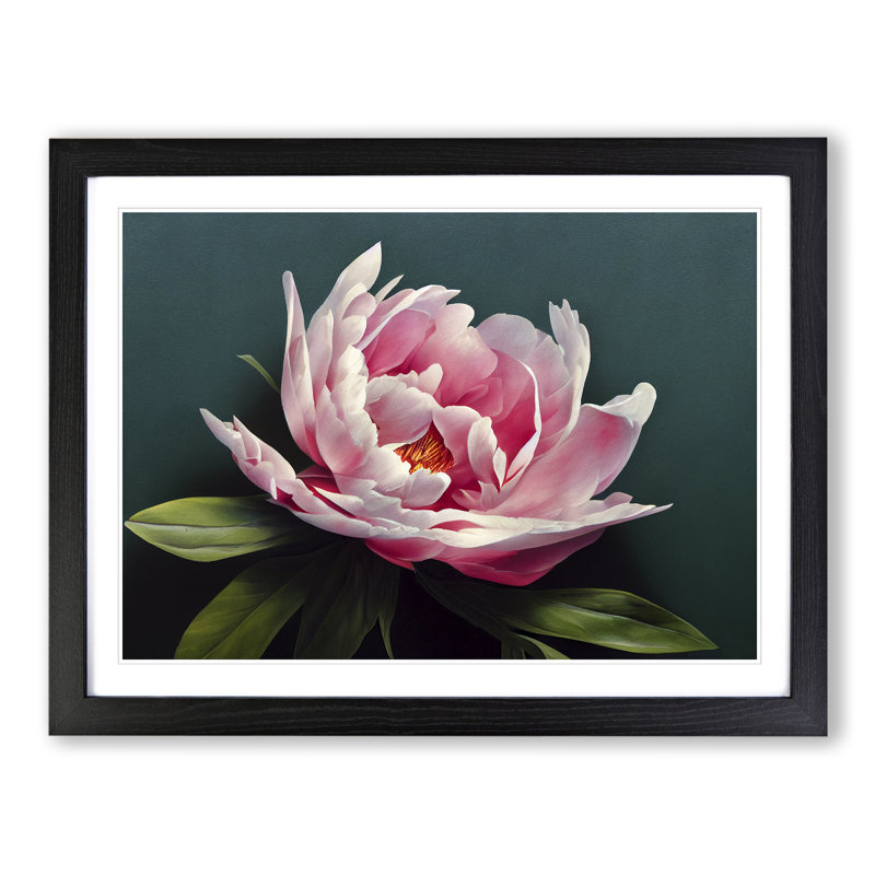 Stupendous Peony Flower - Single Picture Frame Print, 25cm H x 34cm W x 2cm D, Black