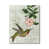 Toile tendue sélectionné