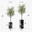 Artificial Tree In Modern Planter, Fake Olive Silk Tree Home Decoration (Plant Pot Plus Tree)-407143820-424482373