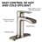 Matherne Single-Hole Single-handle Bathroom Faucet with Drain Assembly-63013496