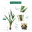 Artificial Potted Canna Palm Tree 63in