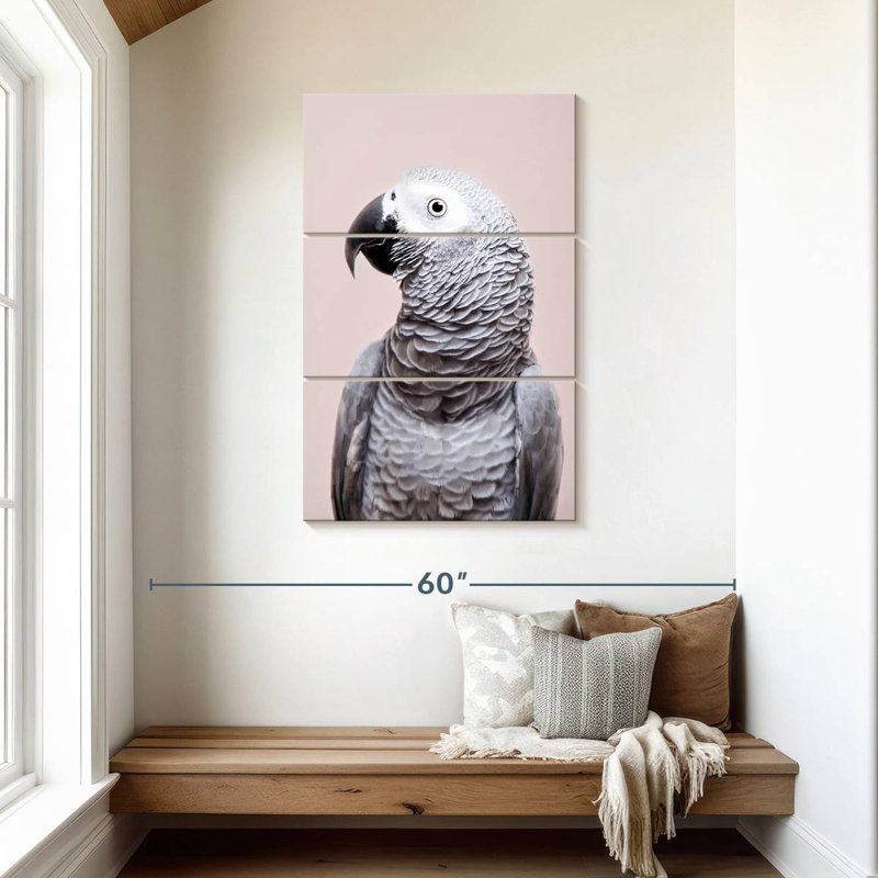 Brampt African Grey
