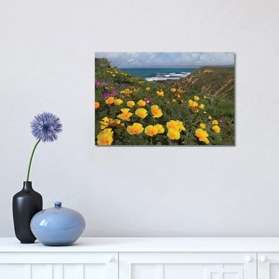California Poppy Field, Montano De Oro State Park, California 1 Piece Wrapped Canvas Wall Art