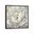 Black Framed Canvas is unavailable