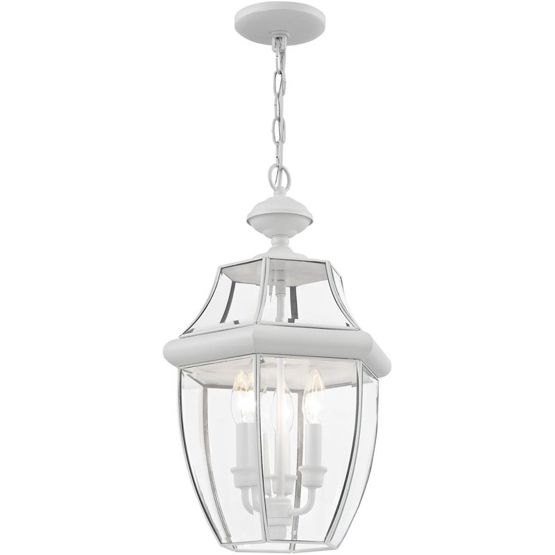 Outdoor Pendant Lighting Fixture with Clear Glass Shade, White