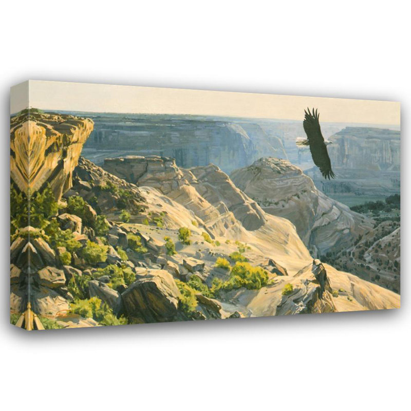 Dino Paravano - Aigle à tête blanche au-dessus du Canyon de Chelley MCG-PF1126, H 16 po x l 24 po