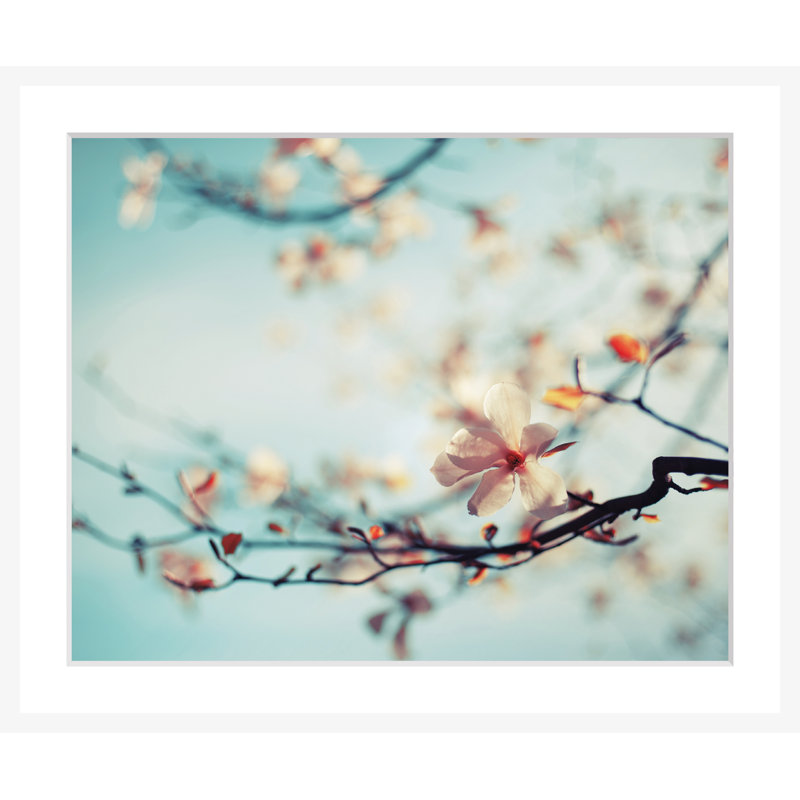 Flowers - Single Picture Frame Print
