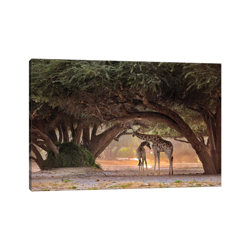 Giraffe - Namibia by Giuseppe Damico - Wrapped Canvas Gallery-Wrapped Canvas Giclée, 66.04 cm H x 45.72 cm W x 1.91 cm D