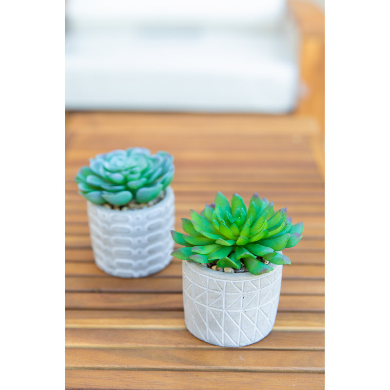 4.5'' Faux Succulent Plant in Cement Pot