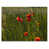 Toile tendue
