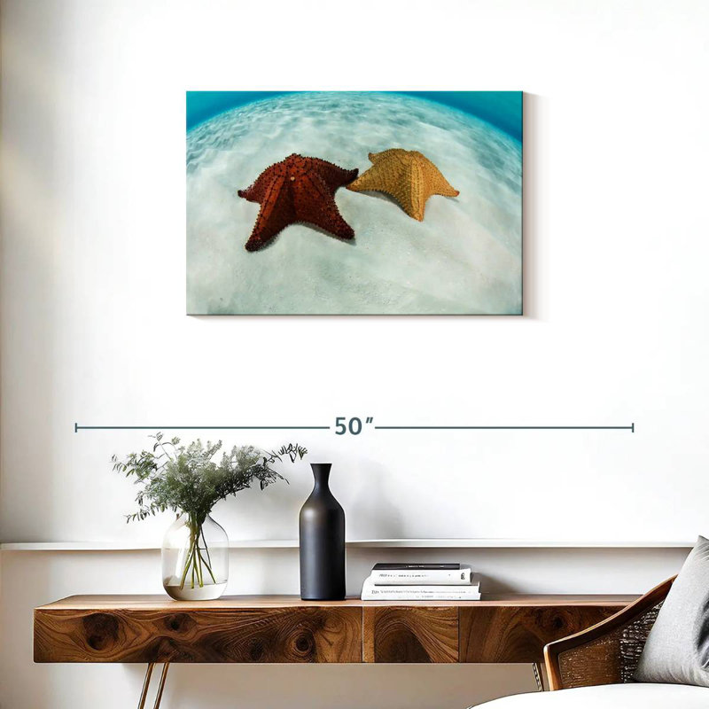 Brampt Caribbean Starfish, 20" H x 30" W