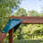 Gorilla Basic Swing Set With Slide-113428901