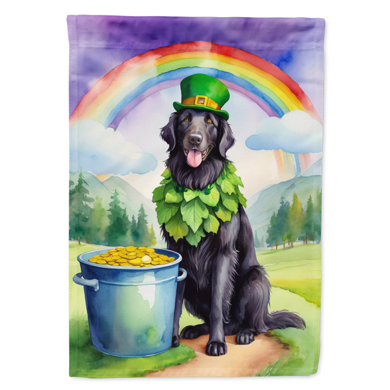 Double Sided 40'' H x 28'' W Polyester St Patrick's Day House Flag