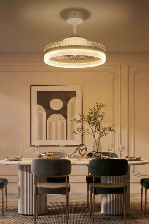 Smart Ceiling Fan Lights
