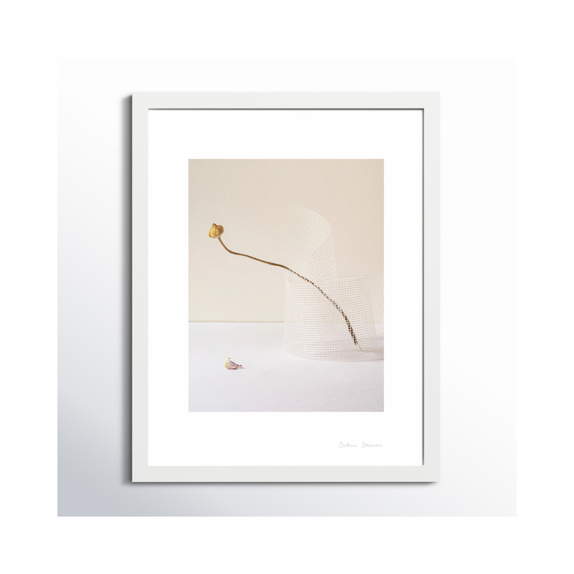 Lombard Balance 2 by Svetlana Smirnova - Picture Frame Photograph, 38" H x 30" W x 1.25" D, White
