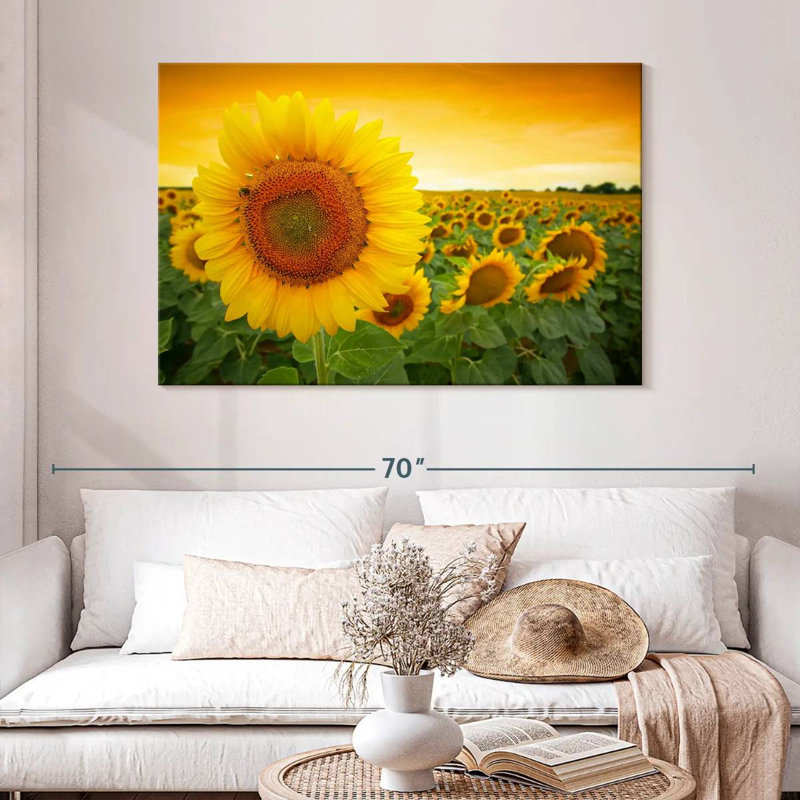 Tournesol Harnek, H 32 po x l 48 po
