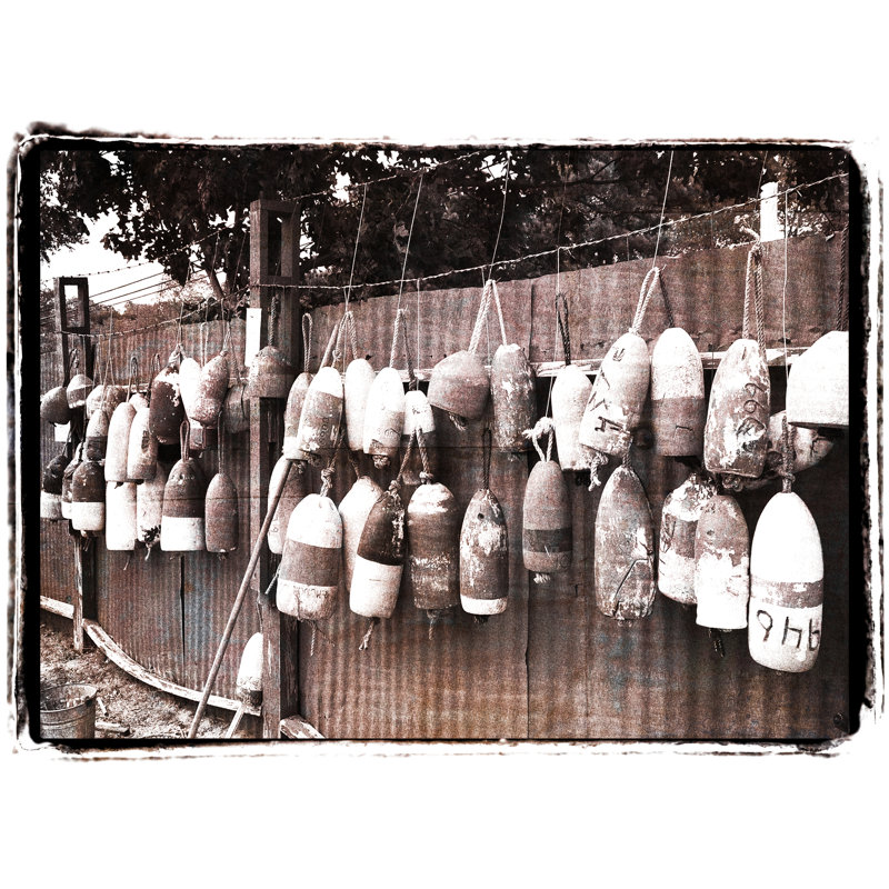 Sheley 'Rough and Tumble Buoys' by Graffitee Studios Photographic Print on Canvas