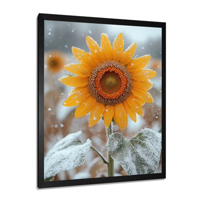 Goodfellow - Floral Wall Art Prints