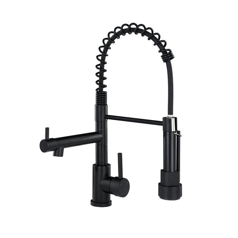 Pull-Down Sprayer Retractable Spring Kitchen Tap, Black