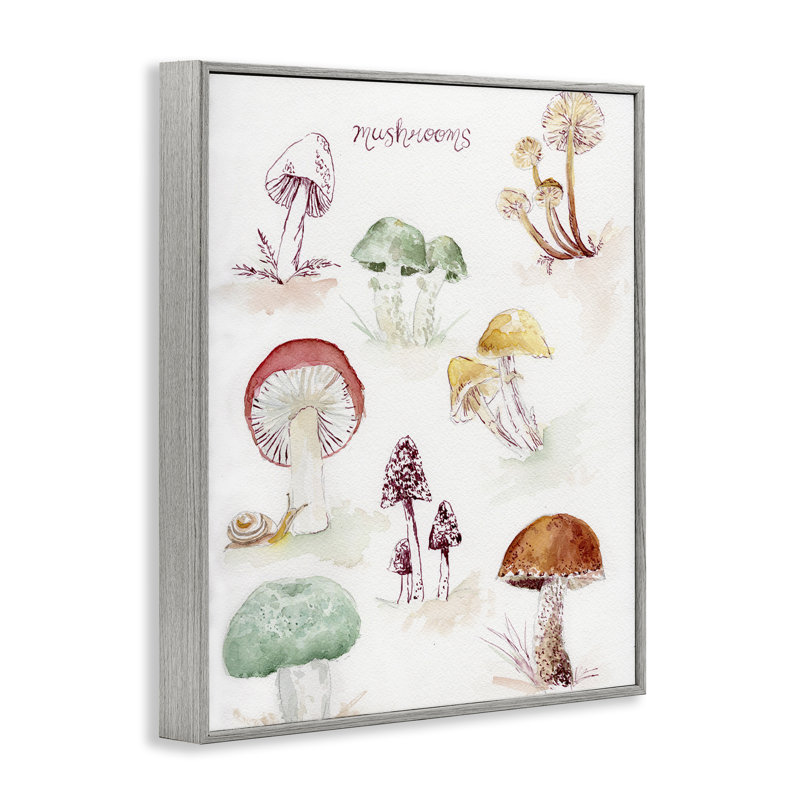 Types de champignons, estampe numérique encadrée par Melissa Hyatt, Estampe numérique Farmhouse, H 20 po x l 16 po