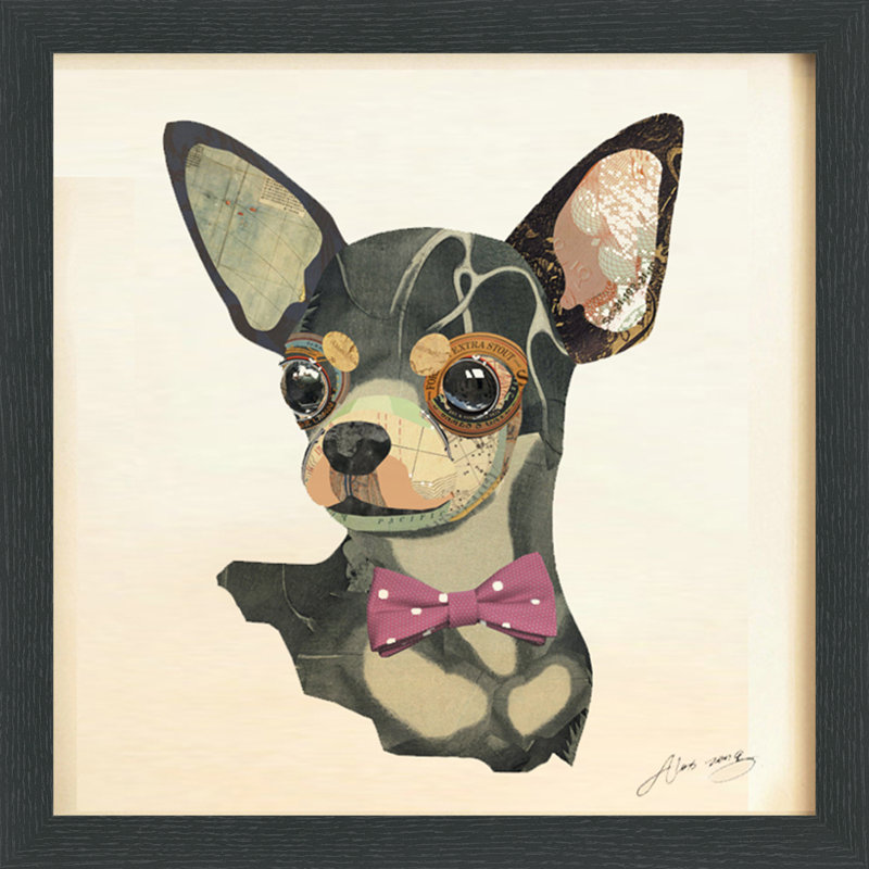 « chihuahua gros plan », impression