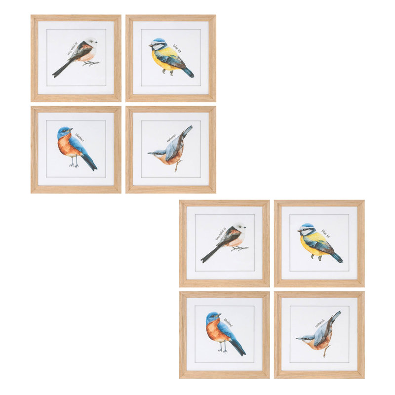 Reproduction d'oiseau encadrée sous verre