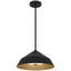 Luminaire suspendu noir à DEL intégré-119441490