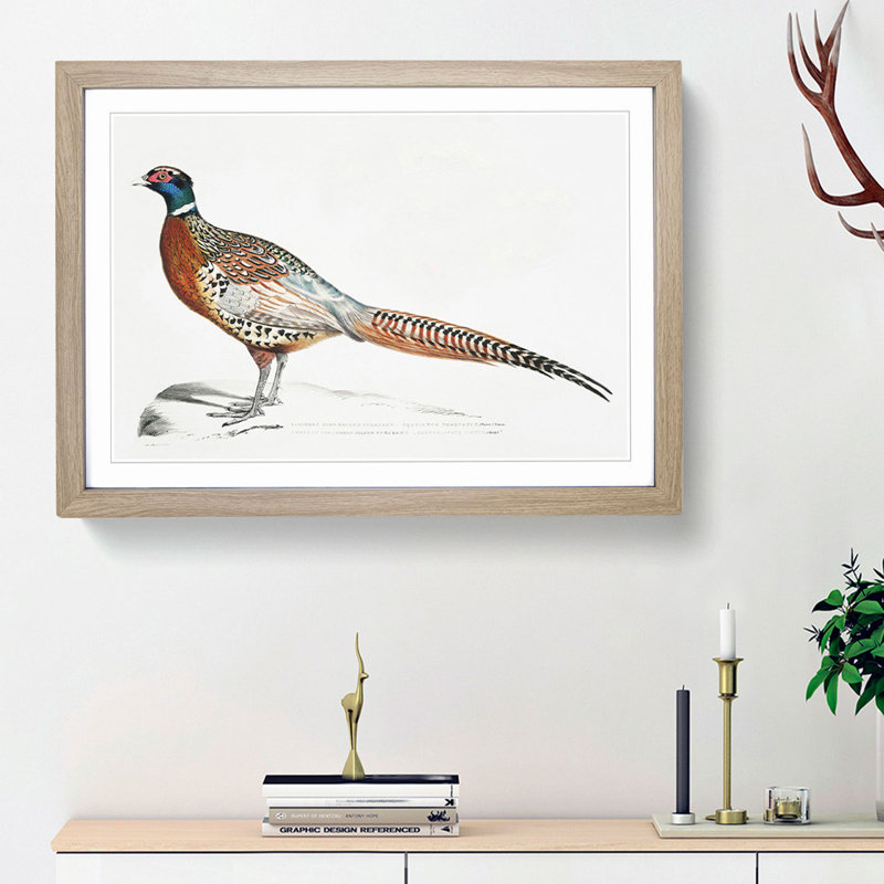 Pheasant Illustrations by John Edward Gray - Picture Frame Painting Print, 36cm H x 48cm W x 2cm D, Oak Framed