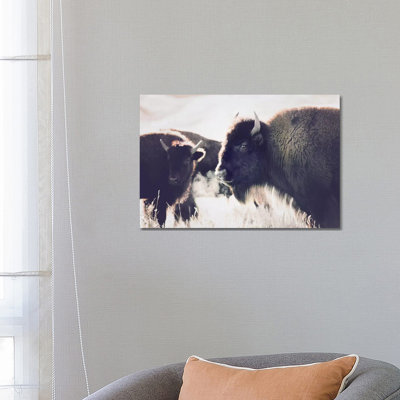 Buffalo by Sisi & Seb - Wrapped Canvas Print