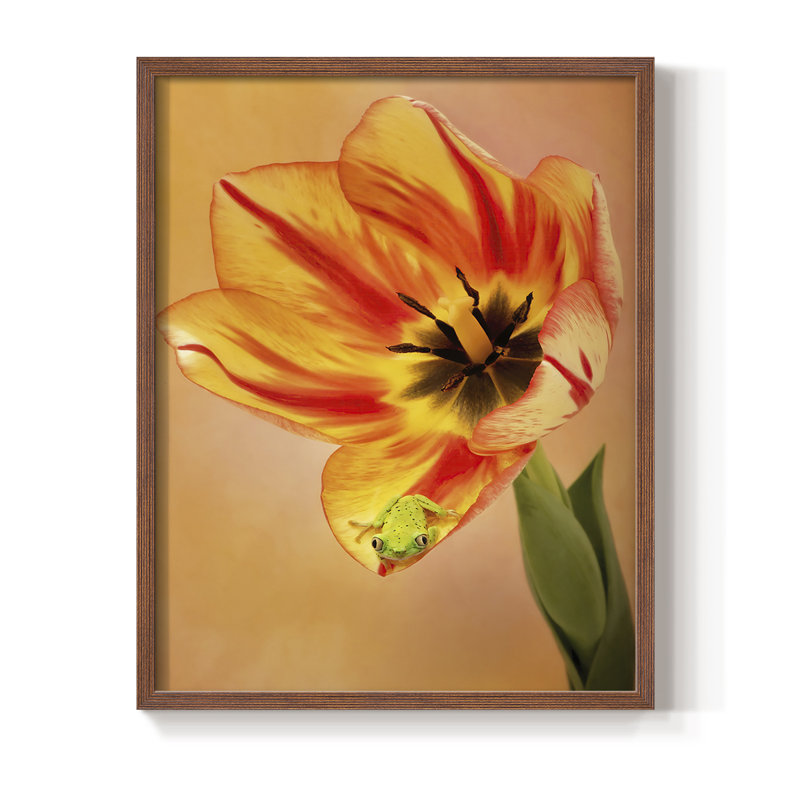 Hanging On VI Framed Print - Solid Wood, Walnut, 21" H x 17" W